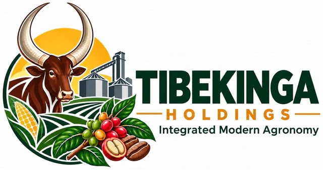Tibekinga Holdings